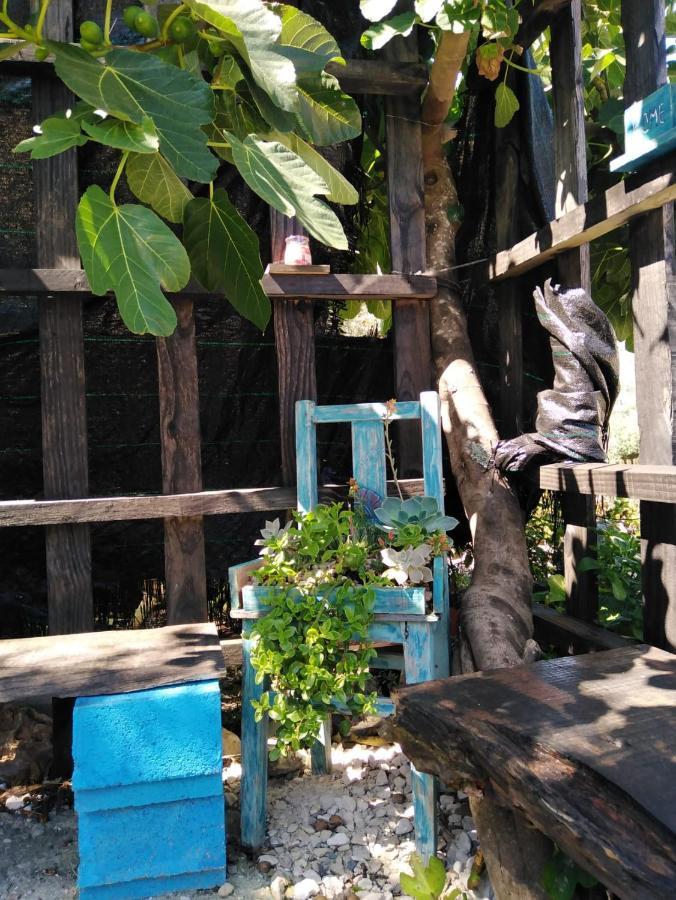 Casa Da Ceu Holiday home